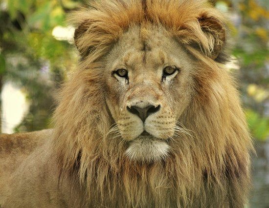 Jardim Zoológico de Pomerode